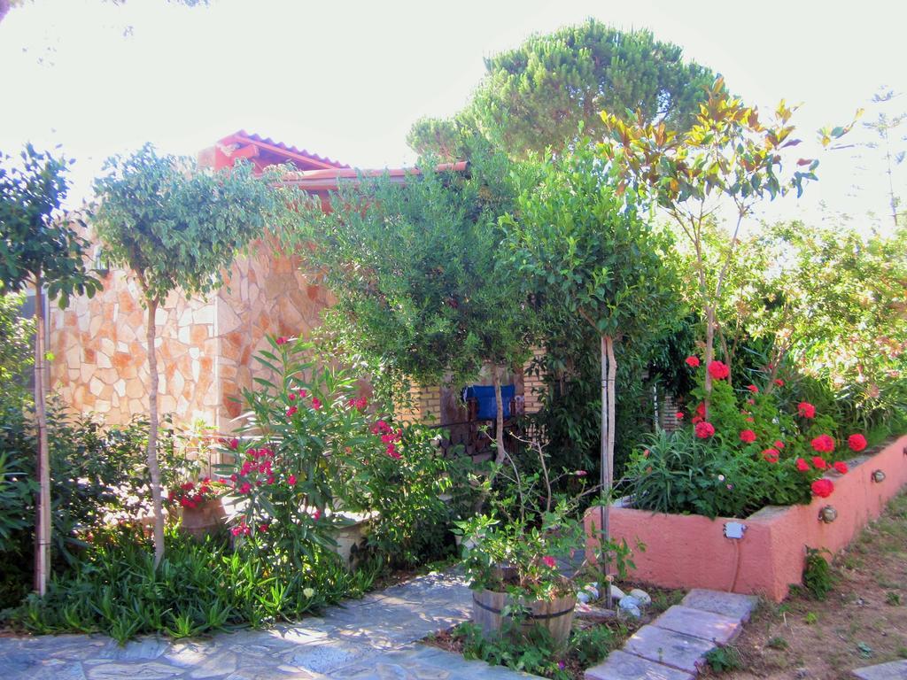 Artemis Vassilikos Aparthotel วาซิลิคอส ห้อง รูปภาพ