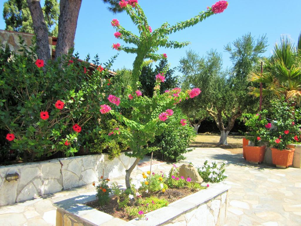 Artemis Vassilikos Aparthotel วาซิลิคอส ห้อง รูปภาพ